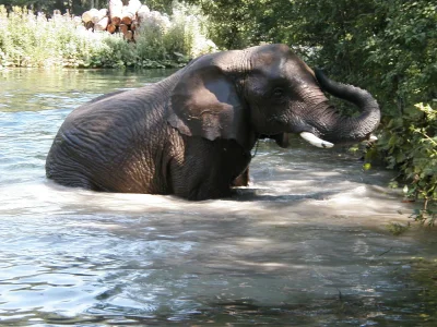 Holiday apartment The 'Traunmühle' - Environment photo 40