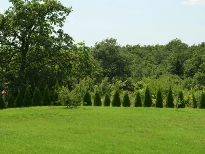 Holiday apartment Violette at Casa Grande - Environment photo 11