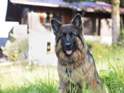 Holiday apartment Gerhart - Nr. 2 - Outdoor photo 5