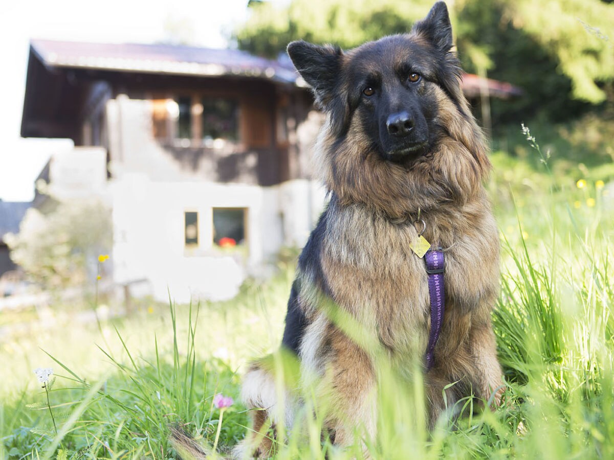 Holiday apartment Gerhart - Nr. 3 - Outdoor photo 5