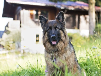 Holiday apartment Gerhart - Nr. 4 - Outdoor photo 6