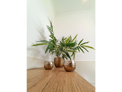 Holiday apartment Haus Starkenburg - Features photo 13