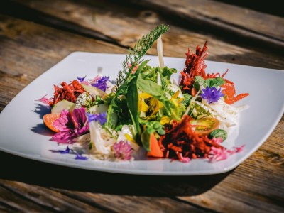 Chalet Klein-Fein Eichernhof "Apfelblüte" - Outdoor photo 6