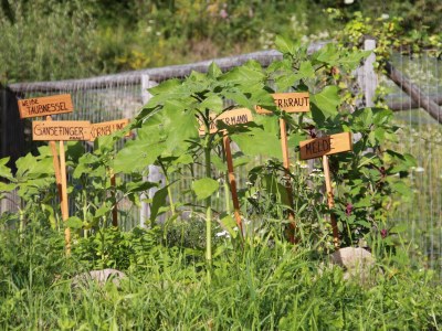 Chalet Klein-Fein Eichernhof "Apfelblüte" - Outdoor photo 10