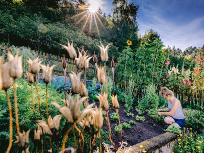 Chalet Klein-Fein Eichernhof "Apfelblüte" - Outdoor photo 14