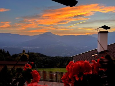 Chalet Klein-Fein Eichernhof "Apfelblüte" - Features photo 24