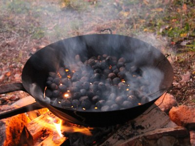 Chalet Klein-Fein Eichernhof "Apfelblüte" - Environment photo 28