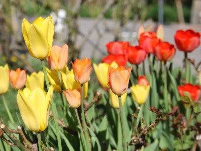 Holiday apartment KirschblÃ¼te Klein-Fein Eichernhof - Outdoor photo 14