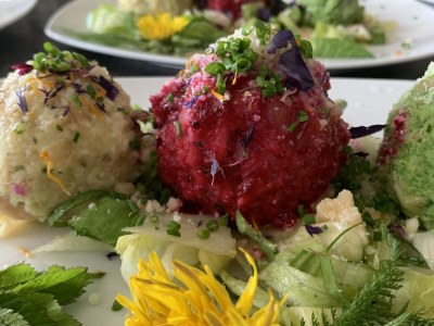 Holiday apartment KirschblÃ¼te Klein-Fein Eichernhof - Outdoor photo 22