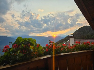 Holiday apartment KirschblÃ¼te Klein-Fein Eichernhof - Features photo 34