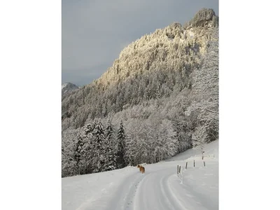 Holiday house Schindeler - Outdoor photo 11