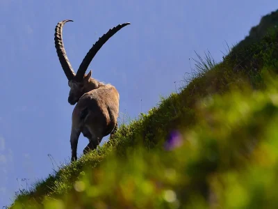 Holiday house Schindeler - Environment photo 29