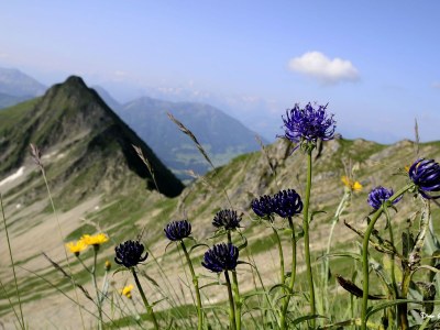 Holiday house Schindeler - Environment photo 30