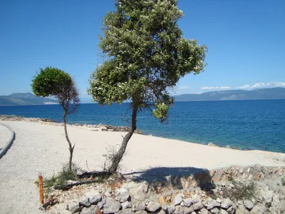 Apartment Villa Mare e Fiori Apartment Vista - Environment photo 20