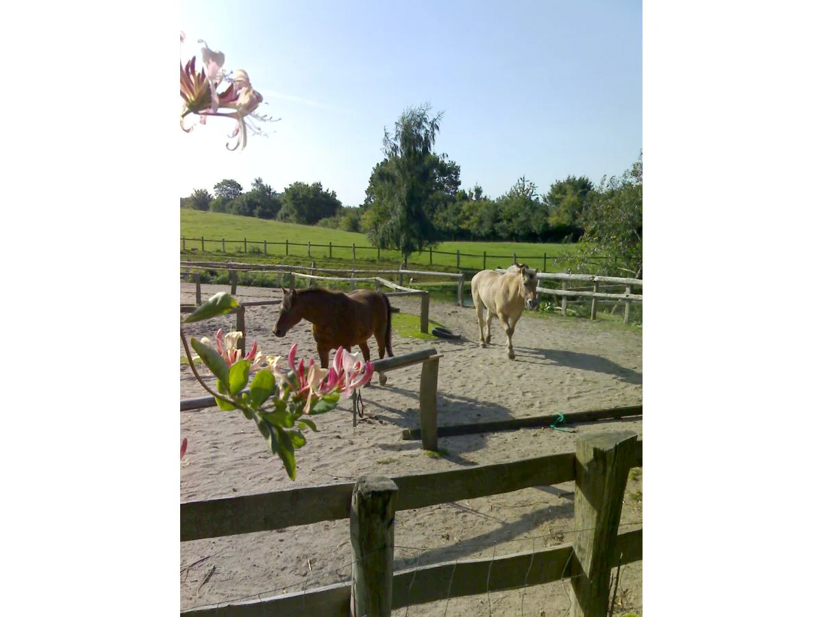 Farmhouse Wiesenwohnung