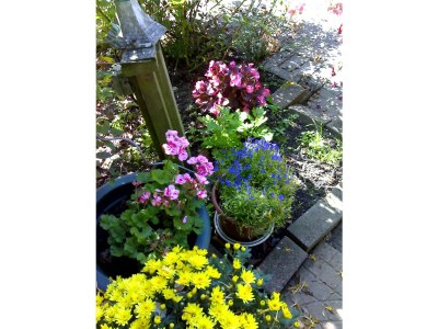 Farmhouse Wiesenwohnung - Outdoor photo 6