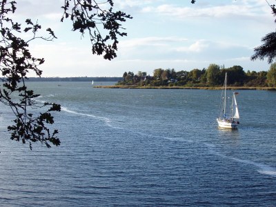 Farmhouse Wiesenwohnung - Environment photo 16