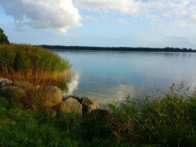 Farmhouse Wiesenwohnung - Environment photo 19