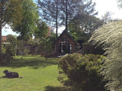 Holiday apartment Vollenbrock - Outdoor photo 2