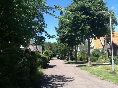 Holiday apartment Vollenbrock - Environment photo 18