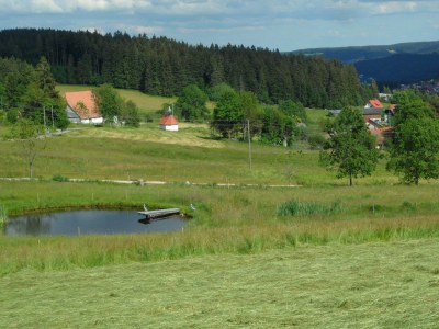 Holiday apartment Lauble - Environment photo 18