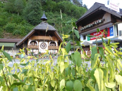 Holiday apartment Lauble - Environment photo 20