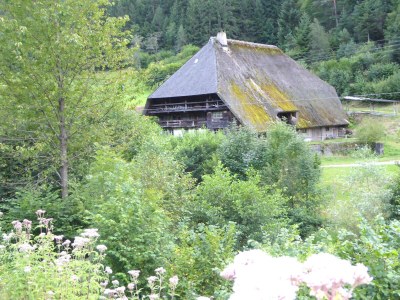 Holiday apartment Lauble - Environment photo 21