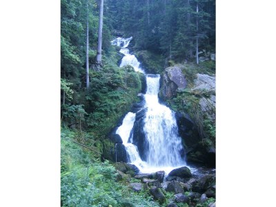 Holiday apartment Lauble - Environment photo 25