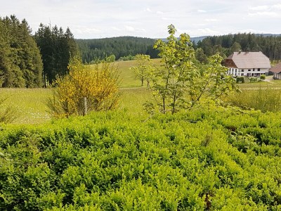 Holiday apartment Lauble - Environment photo 29