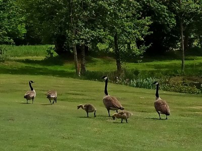 Holiday apartment "Baltrum" in the holiday home "Birdie-Home®" - Environment photo 31