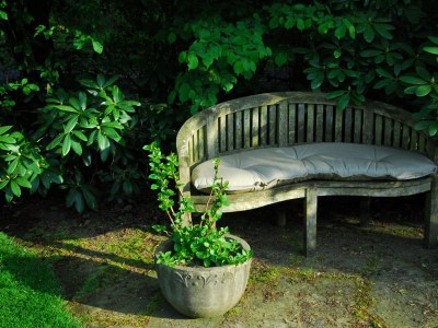 Holiday apartment Stedden - Outdoor photo 6