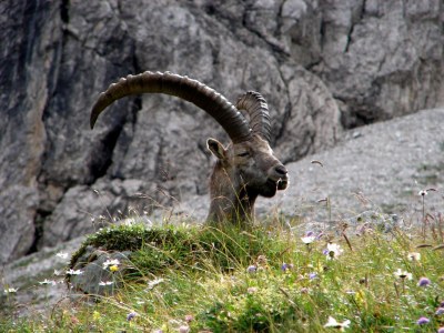 Holiday apartment Schuler - Environment photo 15