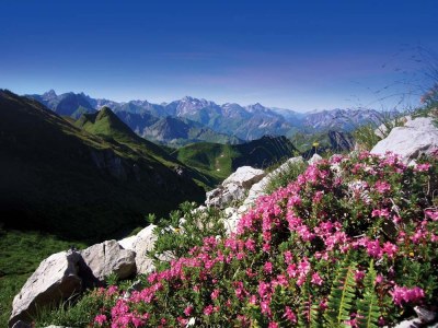 Holiday apartment Schuler - Environment photo 17