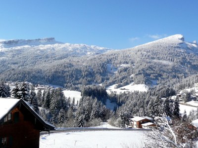 Holiday apartment Schuler - Environment photo 22