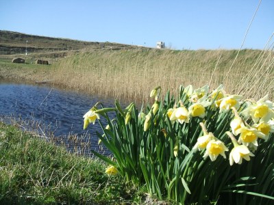 Holiday house Watermunt 25 De Zandloper Julianadorp/Zee - Environment photo 20