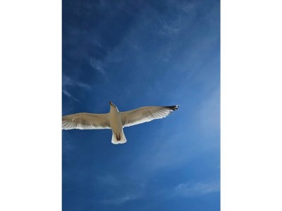 Holiday house Ot 3a - Environment photo 12