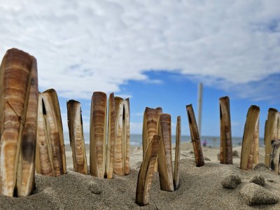 Holiday house Ot 3a - Environment photo 13