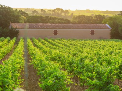 Holiday apartment Apartment 'Gîte Les vendangeurs' - Outdoor photo 4
