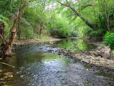 Holiday apartment Apartment 'Gîte Les vendangeurs' - Environment photo 20