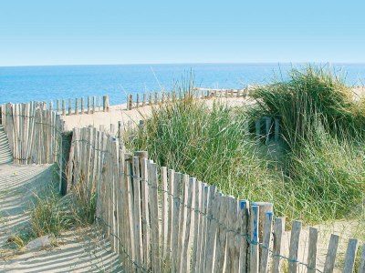 Holiday apartment Apartment 'Gîte Les vendangeurs' - Environment photo 23