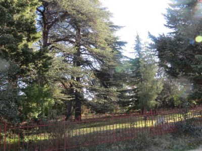 Holiday apartment Apartment 'Gîte Les vendangeurs' - Document photo 27