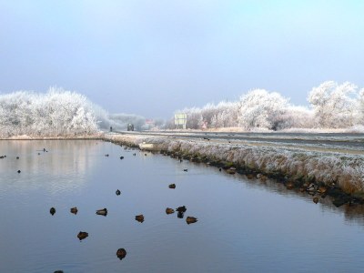 Holiday apartment Zuiderstrand Duinweg 81 - Environment photo 15