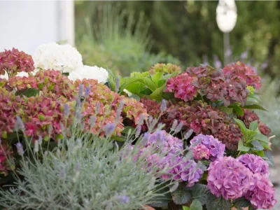 Holiday apartment Platzl im Mesnerhaus - Outdoor photo 4