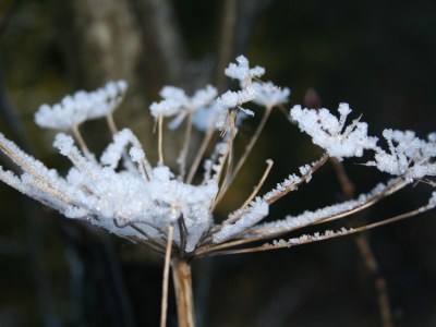 Holiday apartment Platzl im Mesnerhaus - Environment photo 28