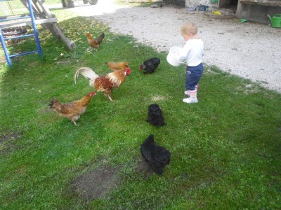 Holiday apartment Hintnerhof - Environment photo 19