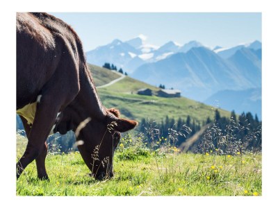 Holiday apartment Rauchquarz - Environment photo 40