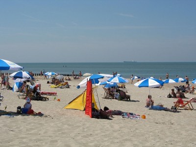 Holiday house Vebenabos - Environment photo 27