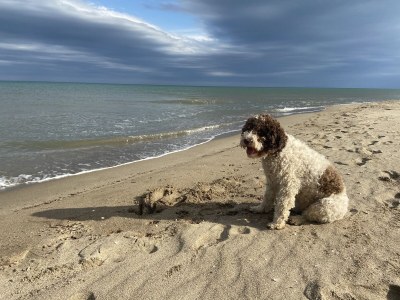 Holiday apartment Siebert - Environment photo 32