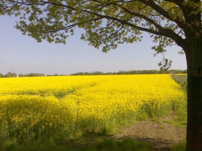 Holiday apartment Hamburg - Environment photo 17