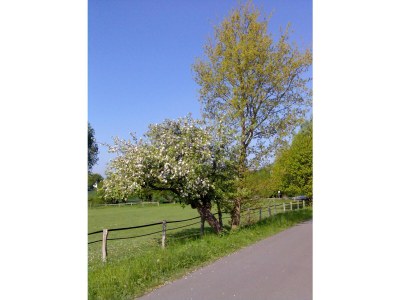 Holiday apartment Hamburg - Environment photo 18